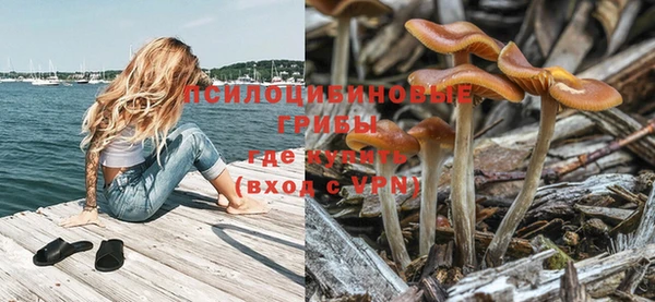 a pvp Алексин