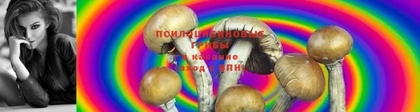 трава Ростов