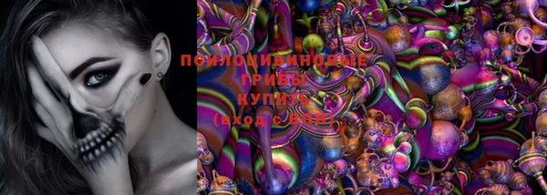 соль ск Абаза