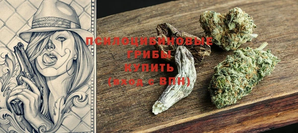 соль ск Абаза