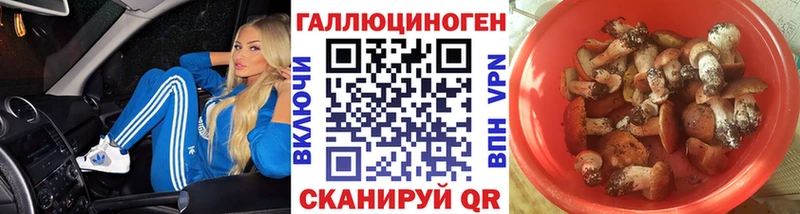 Галлюциногенные грибы Psilocybine cubensis  Карасук 